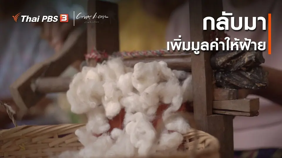 ​เรื่องเล่าคนกลับบ้าน : กลับมาเพิ่มมูลค่าให้ฝ้าย