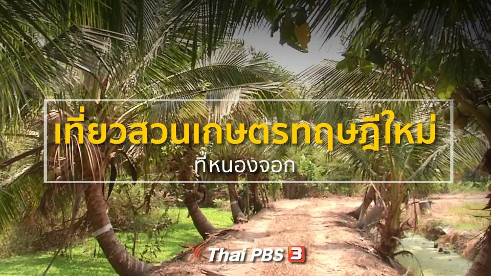 อาชีพทั่วไทย : เที่ยวสวนเกษตรทฤษฎีใหม่ที่หนองจอก