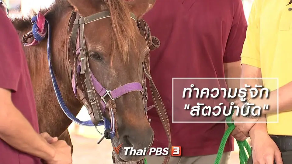 ทำความรู้จัก "สัตว์บำบัด"