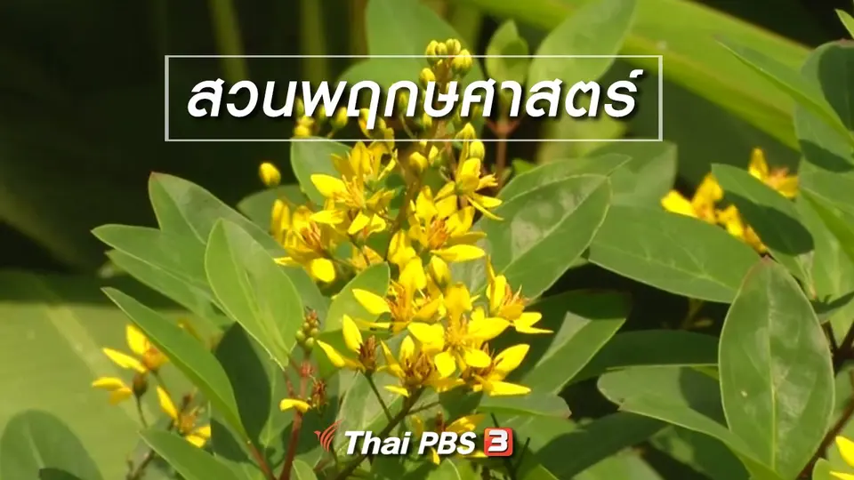 ตะลุยทั่วไทย : สวนพฤกษศาสตร์