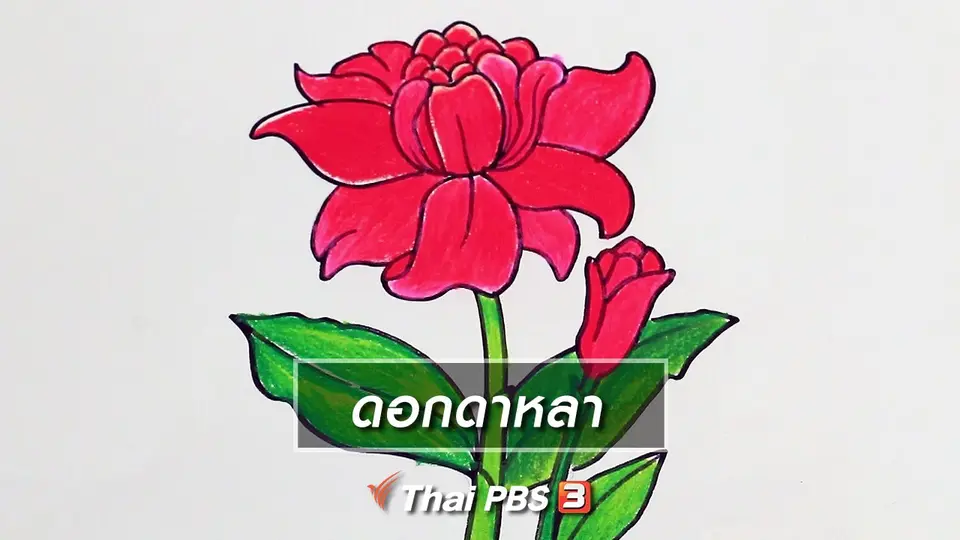 ​สอนศิลป์สอนวาด : ดอกดาหลา
