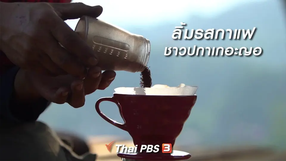 เรียนรู้วิถีไทย : ลิ้มรสกาแฟชาวปกาเกอะญอ