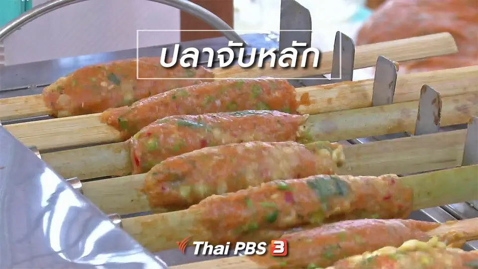 ​ตะลุยทั่วไทย : ปลาจับหลัก