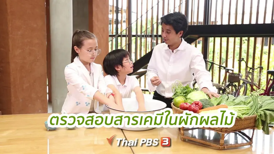 คิดส์ขยายข่าว : ตรวจสอบผักผลไม้
