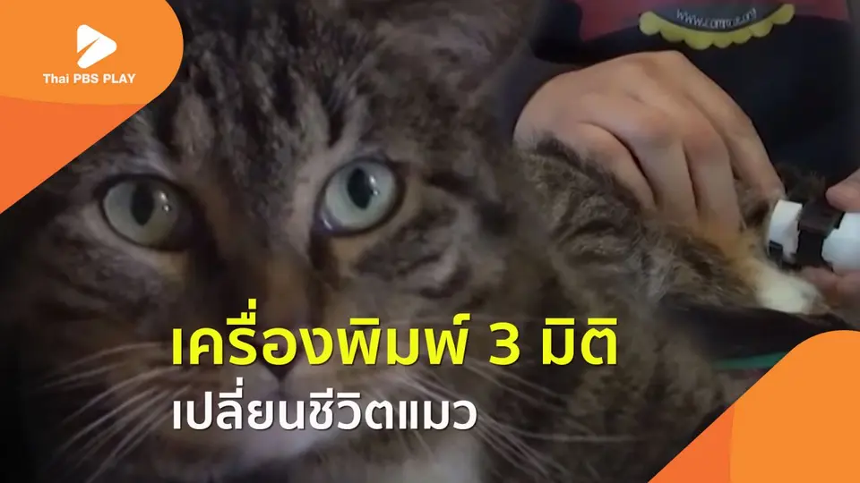 เครื่องพิมพ์ 3 มิติ เปลี่ยนชีวิตแมว