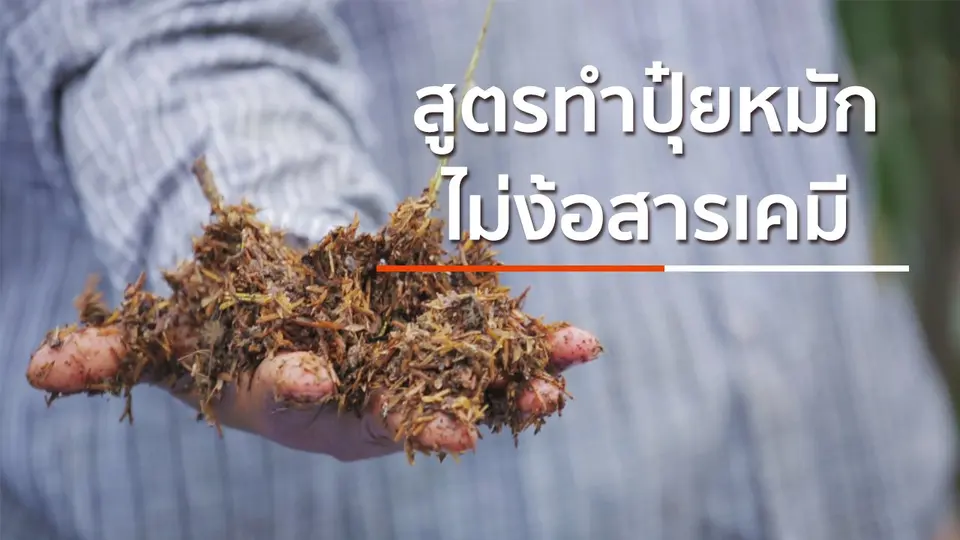 สูตรปุ๋ยหมักไม่ง้อสารเคมี