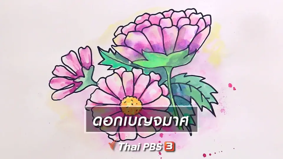 สอนศิลป์สอนวาด : ดอกเบญจมาศ