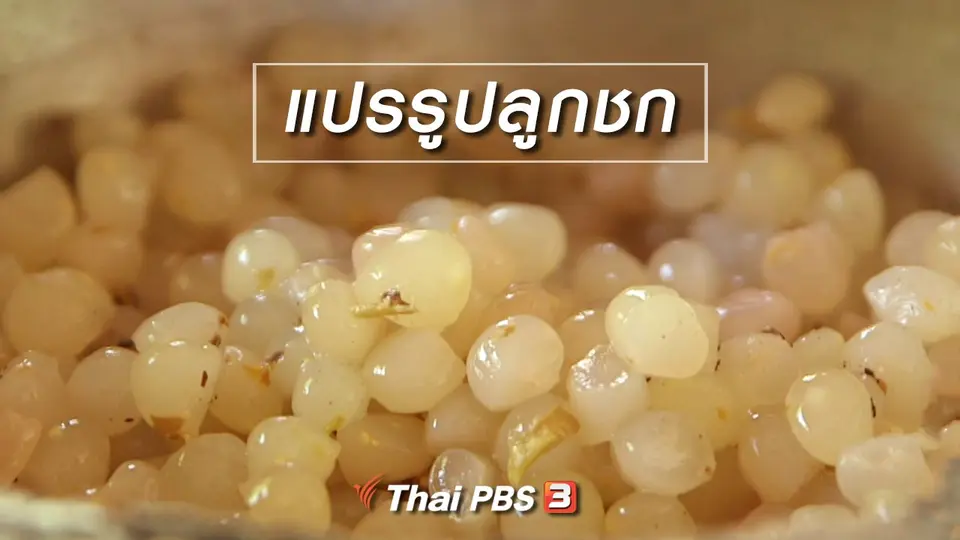 ​ตะลุยทั่วไทย : แปรรูปลูกชก