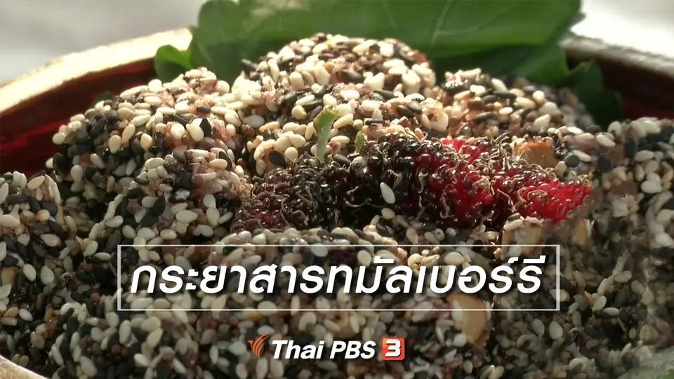 ​ตะลุยทั่วไทย : กระยาสารทมัลเบอร์รี