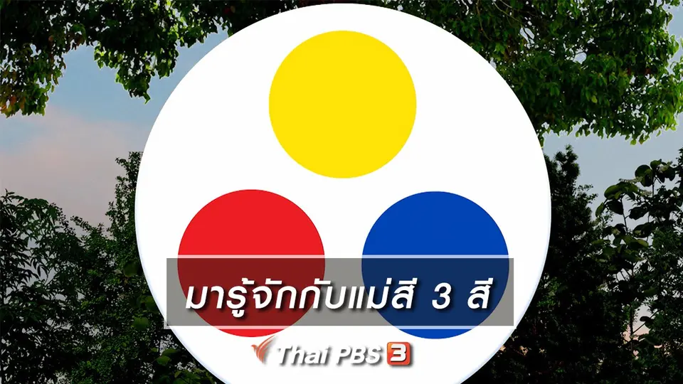 เกร็ดน่ารู้กับตาต้าตีตี้โตโต้ : มารู้จักกับแม่สี 3 สี