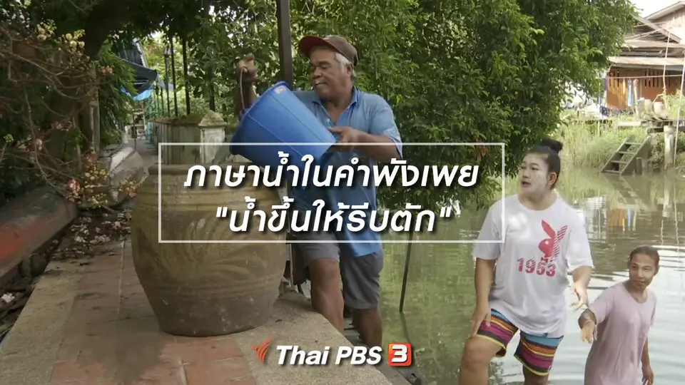 เพียงคำเดียว : ภาษาน้ำในคำพังเพย "น้ำขึ้นให้รีบตัก"