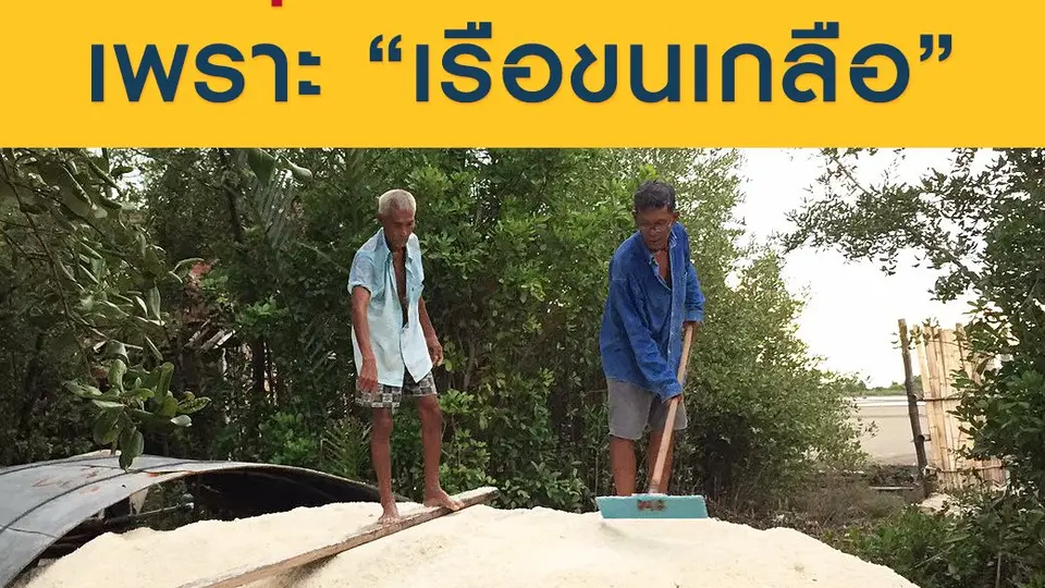 ทุกวันนี้มีกินมีใช้ เพราะเรือขนเกลือ