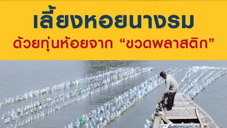 เลี้ยงหอยนางรม ด้วยทุ่นห้อยจาก "ขวดพลาสติก"