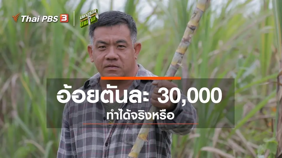 อ้อยตันละ 30,000 ทำได้จริงหรือ