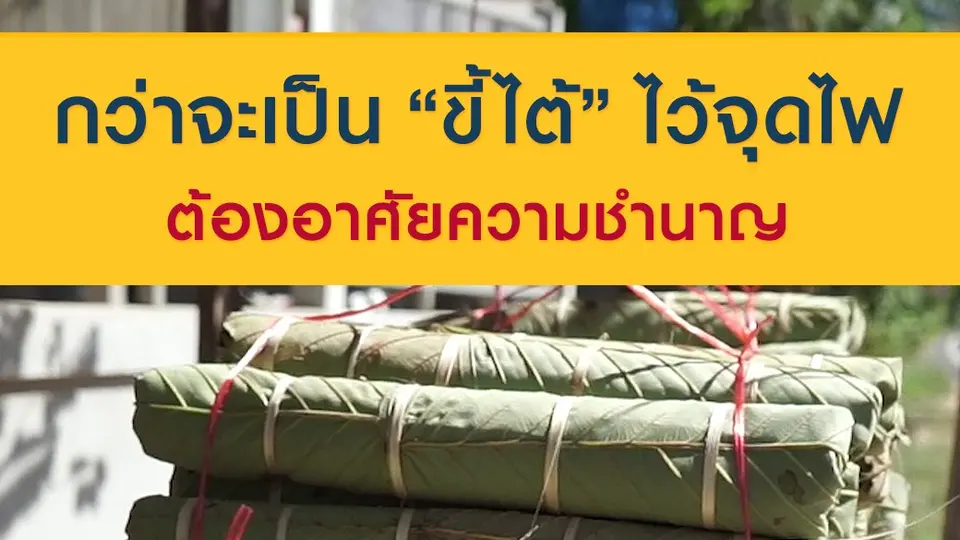 กว่าจะเป็น "ขี้ไต้" ไว้จุดไฟ