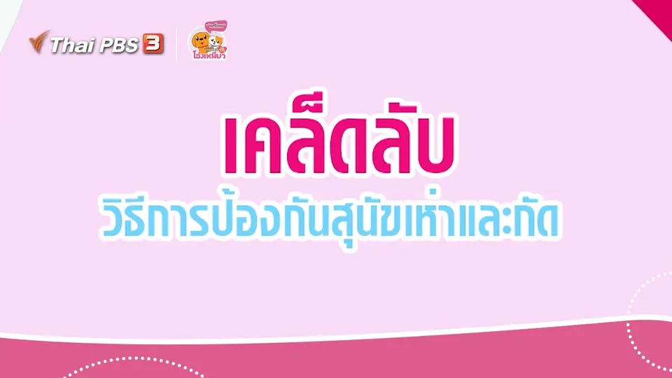 เคล็ดไม่ลับดูแลโฮ่งเหมียว : เคล็ดลับป้องกันสุนัขเห่าและกัด