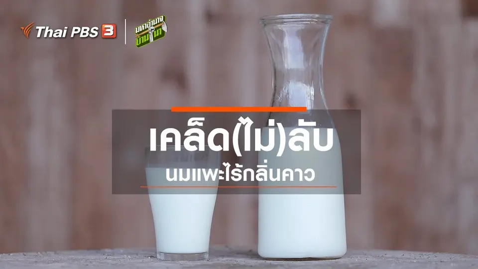 เคล็ด(ไม่)ลับนมแพะไร้กลิ่นคาว
