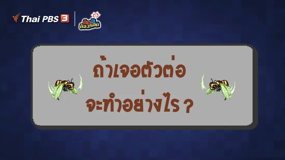 ​ถ้าเจอตัวต่อจะทำอย่างไร