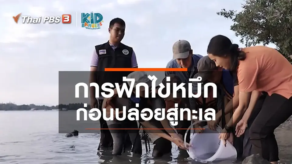 ​คิดส์เรียนรู้ : การฟักไข่หมึก ก่อนปล่อยสู่ทะเล