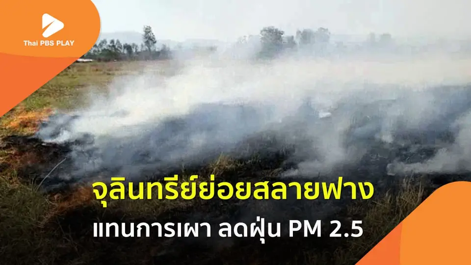 จุลินทรีย์ย่อยสลายฟาง-ตอซัง แทนการเผา