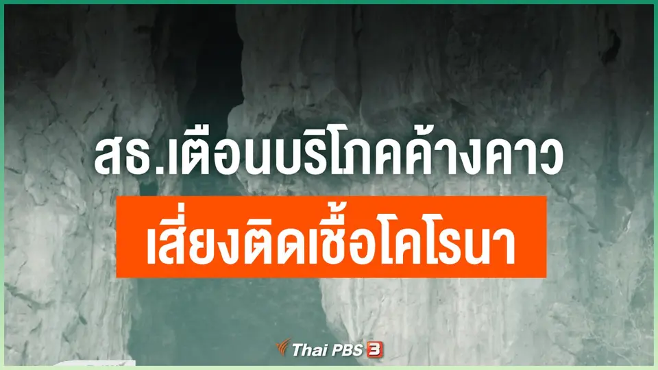 สธ.เตือนบริโภคค้างคาวเสี่ยงติดเชื้อโคโรนา