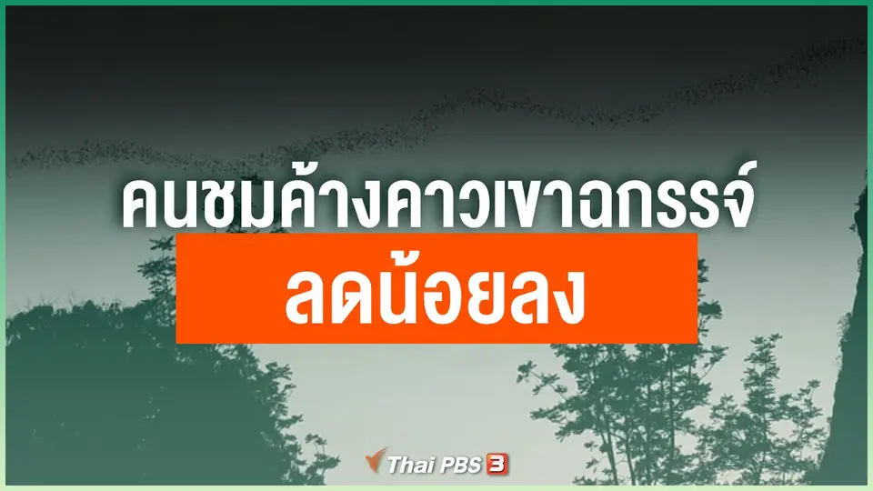 คนชมค้างคาวเขาฉกรรจ์ลดน้อยลง