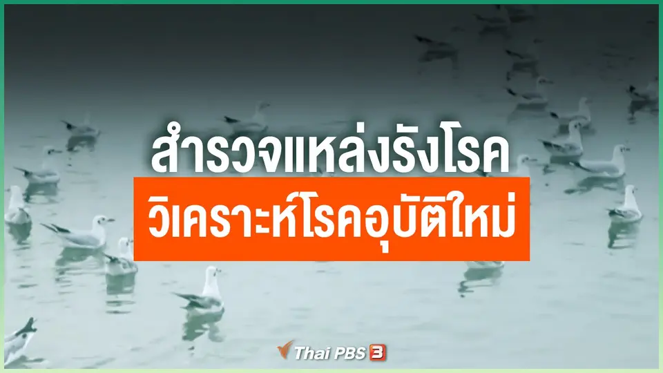สำรวจแหล่งรังโรค วิเคราะห์โรคอุบัติใหม่