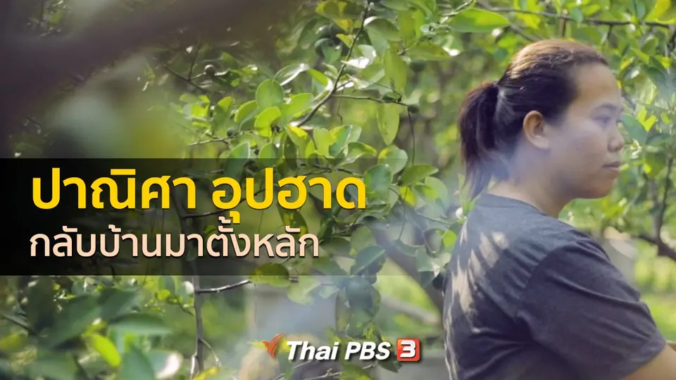เรื่องเล่าคนกลับบ้าน : กลับบ้านมาตั้งหลัก