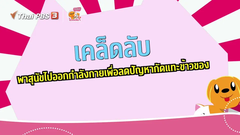 เคล็ดไม่ลับดูแลโฮ่งเหมียว : เคล็ดลับพาสุนัขไปออกกำลังกายลดปัญหากัดแทะ
