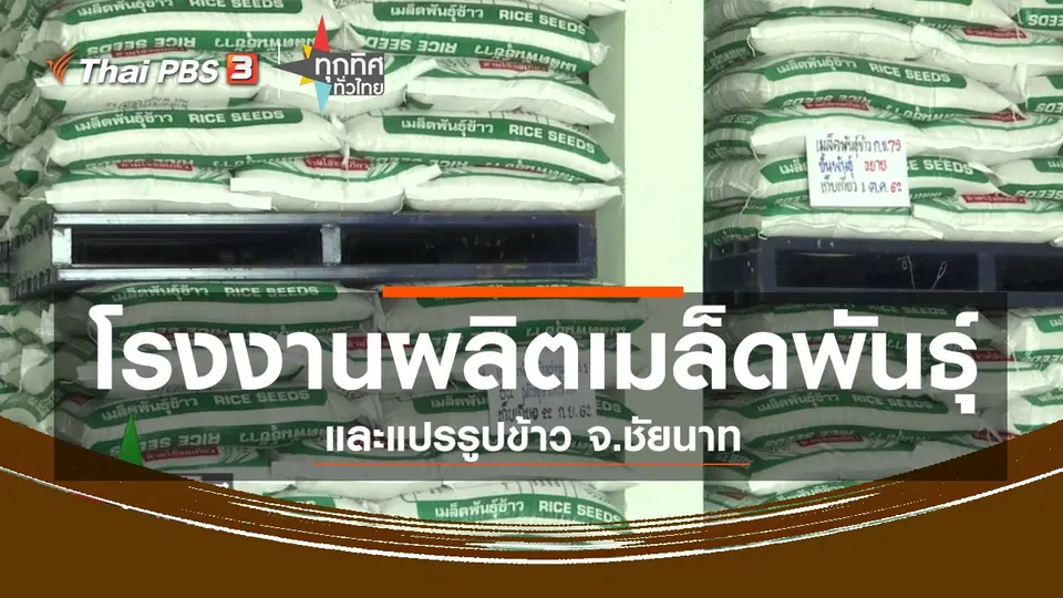 ​ชุมชนทั่วไทย : ชมโรงงานผลิตเมล็ดพันธุ์และแปรรูปข้าว จ.ชัยนาท
