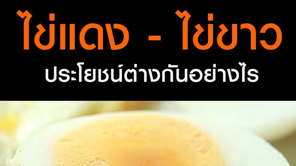 ไข่แดง - ไข่ขาว  ประโยชน์ต่างกันอย่างไร