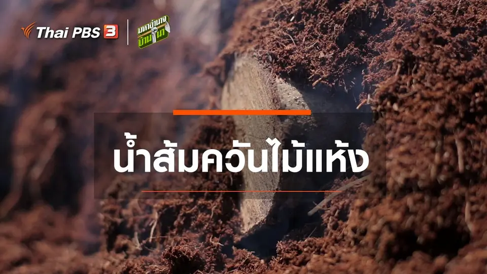 สูตรลับฉบับบ้านนา : น้ำส้มควันไม้แห้ง