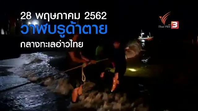 “เจ้าปิ่น” วาฬบรูด้าในความทรงจำ