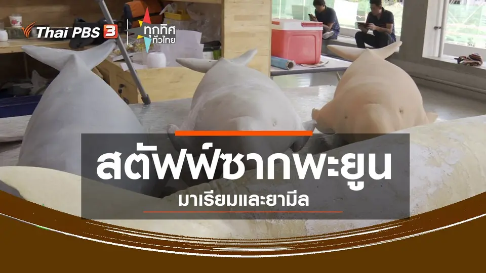ชุมชนทั่วไทย : สตัฟฟ์ซากพะยูนมาเรียมและยามีล