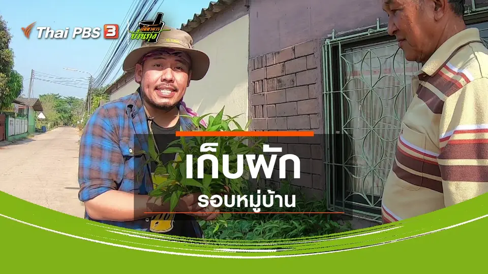 คลิปบ้านทุ่ง : เก็บผักรอบหมู่บ้าน