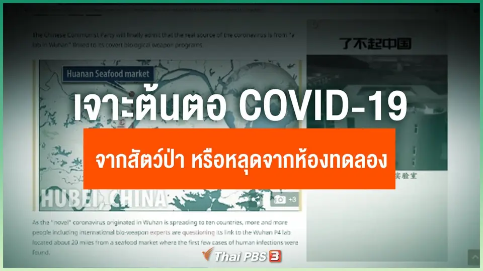 เจาะต้นตอ COVID-19 มาจากสัตว์ป่า หรือ หลุดมาจากห้องทดลองในจีน