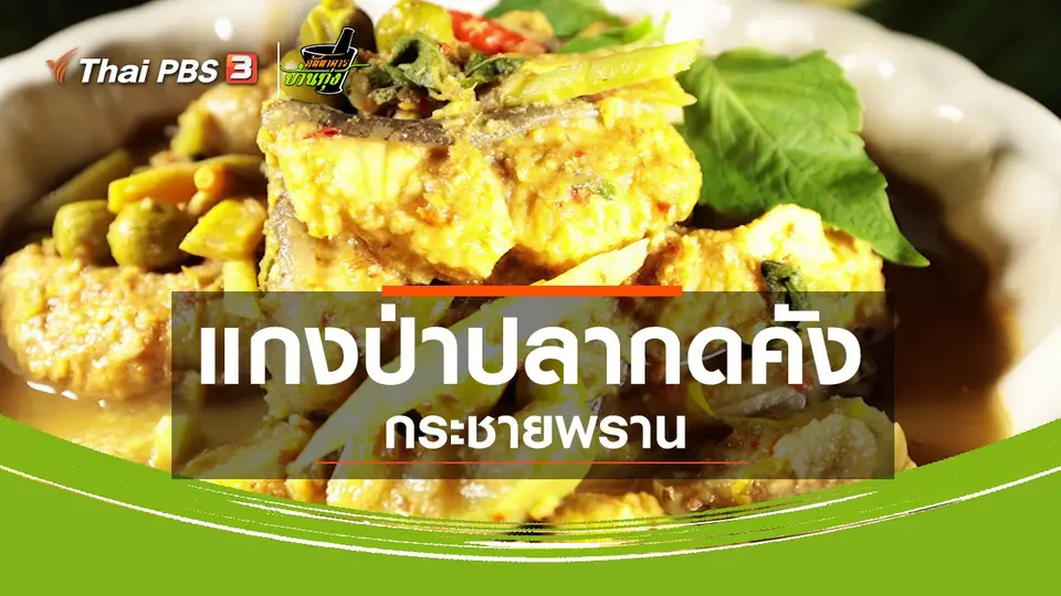 ​สูตรอาหารพื้นบ้าน : แกงป่าปลากดคังกระชายพราน