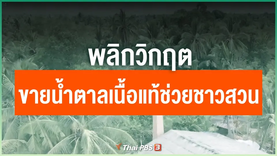 พลิกวิกฤต ขายน้ำตาลเนื้อแท้ช่วยชาวสวน