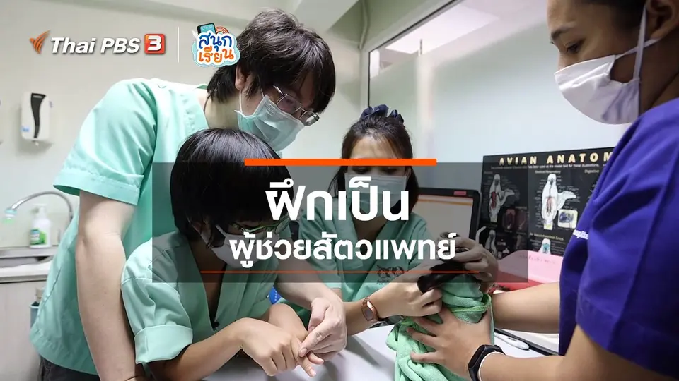 วิชาประสบการณ์ชีวิต : ฝึกเป็นผู้ช่วยสัตวแพทย์