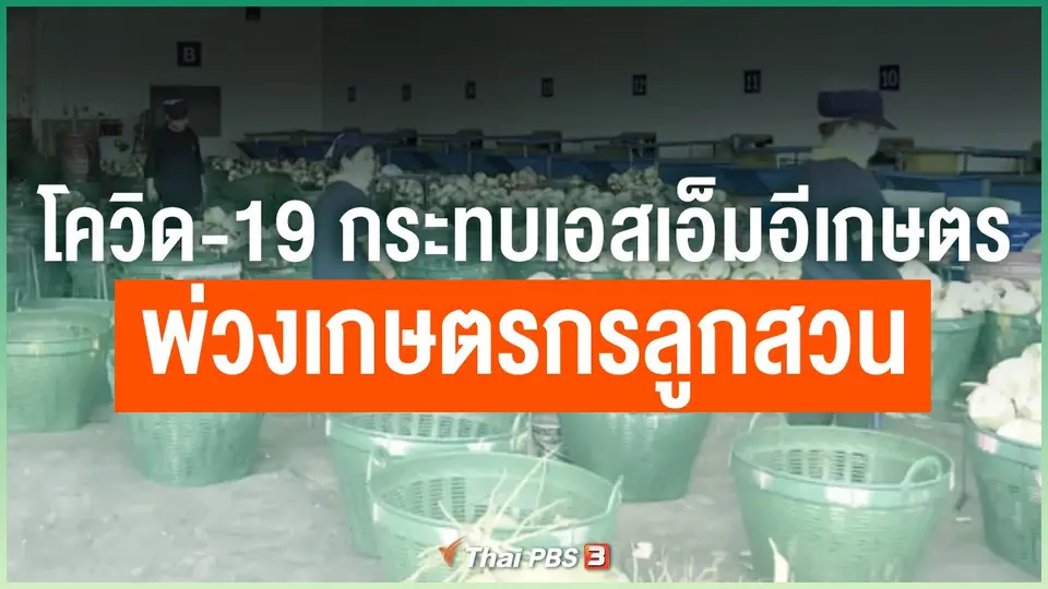 โควิด-19 กระทบเอสเอ็มอีเกษตรพ่วงเกษตรกรลูกสวน
