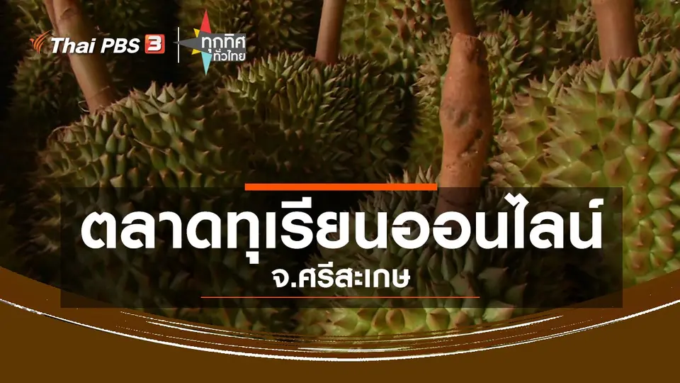ตลาดทุเรียนออนไลน์ จ.ศรีสะเกษ