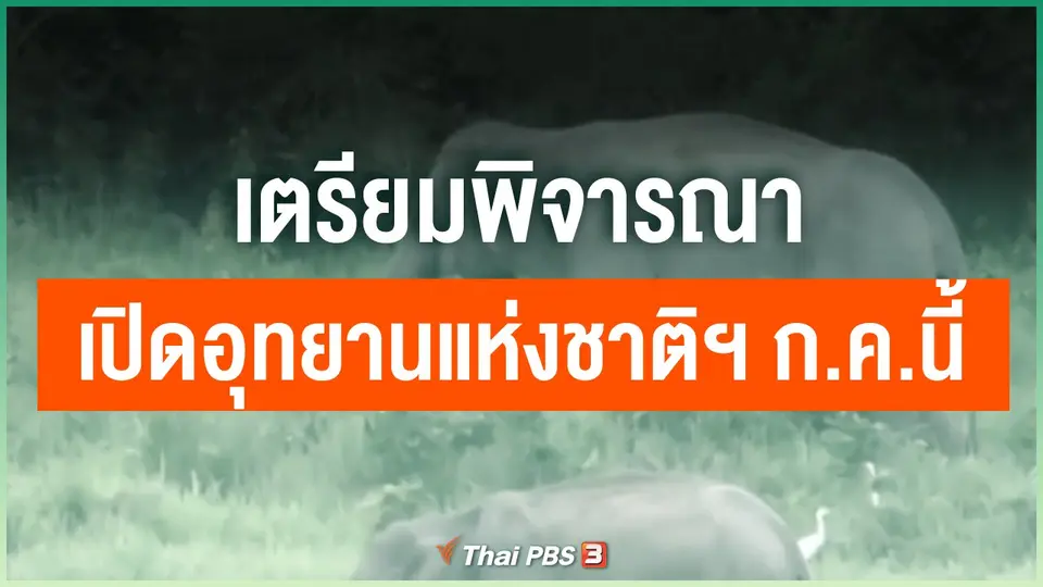 เตรียมพิจารณาเปิดอุทยานแห่งชาติฯ ก.ค.นี้