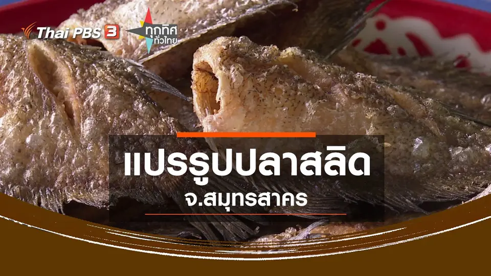 ​แปรรูปปลาสลิด จ.สมุทรสาคร