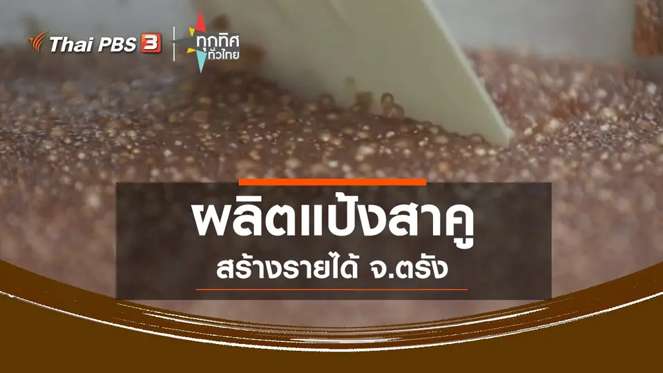 ​ผลิตแป้งสาคูสร้างรายได้ จ.ตรัง