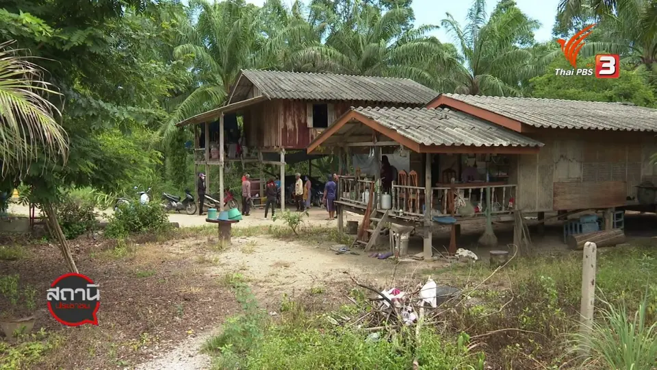 สถานีร้องเรียน : กว่า 25 ปี ไม่มีไฟฟ้าใช้ อ.นาสาร จ.สุราษฎร์ธานี
