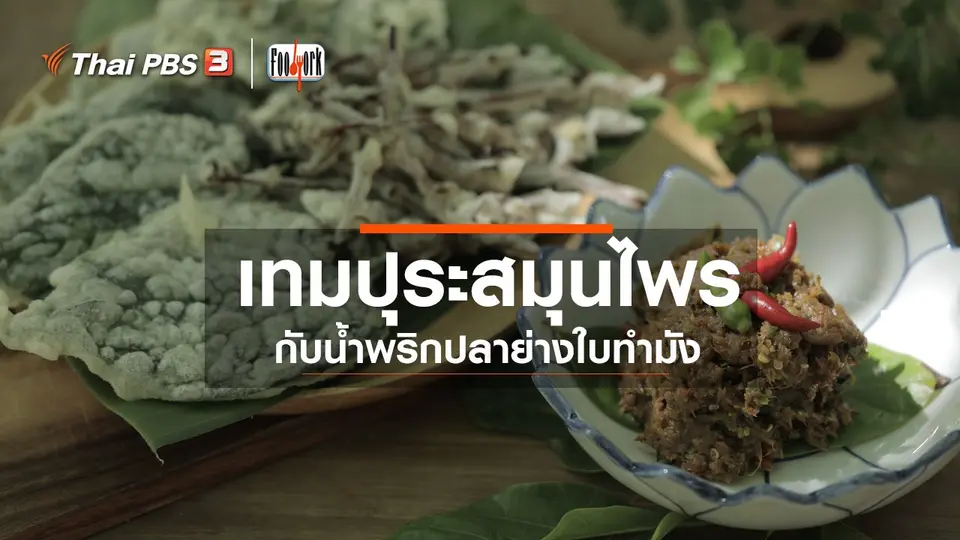 ​เมนูอาหารฟิวชัน : เทมปุระสมุนไพรกับน้ำพริกปลาย่างใบทำมัง