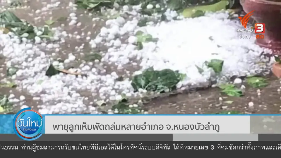พายุลูกเห็บพัดถล่มหลายอำเภอ จ.หนองบัวลำภู