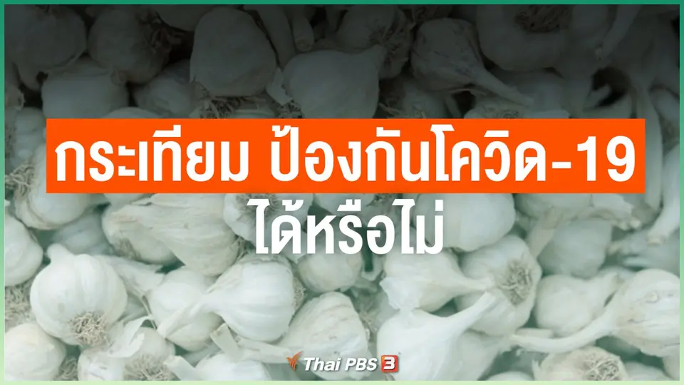 กระเทียม ป้องกันโควิด-19 ได้หรือไม่