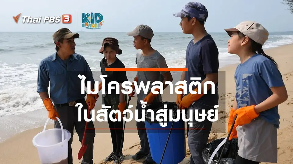 ​คิดส์เรียนรู้ : ไมโครพลาสติกในสัตว์น้ำสู่มนุษย์