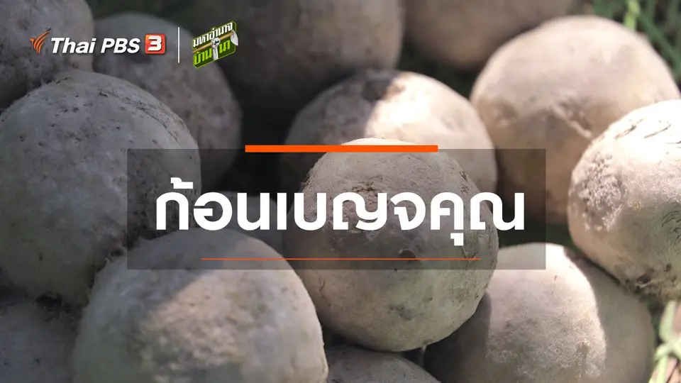 ​สูตรลับฉบับบ้านนา : ก้อนเบญจคุณ